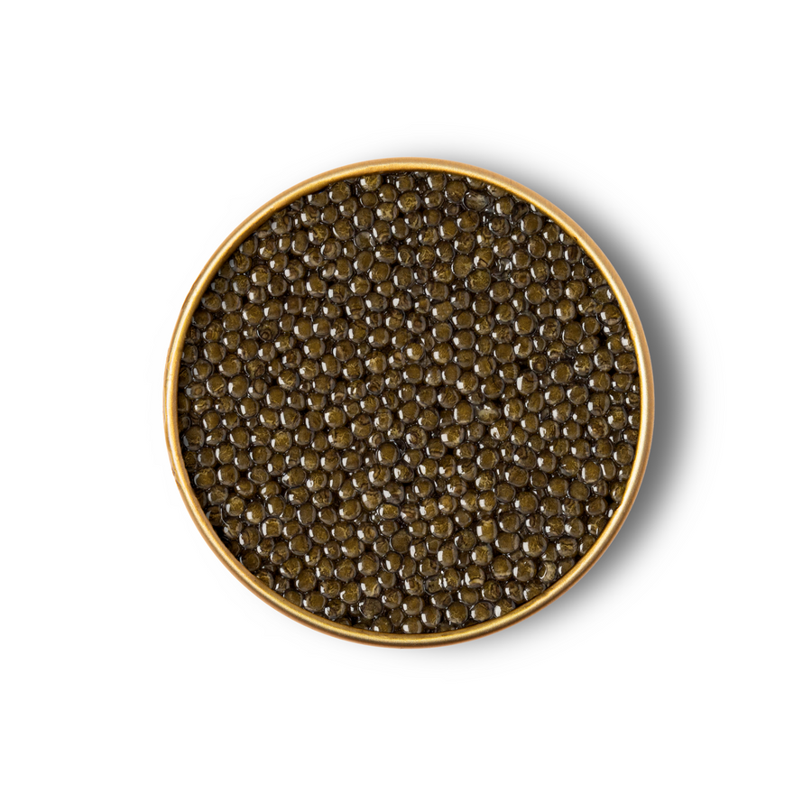 Limited Edition Royal Ossetra Caviar