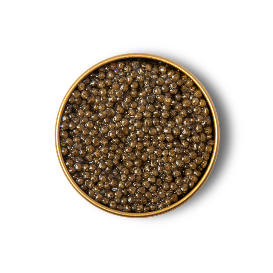 Kaluga Hybrid Reserve Caviar