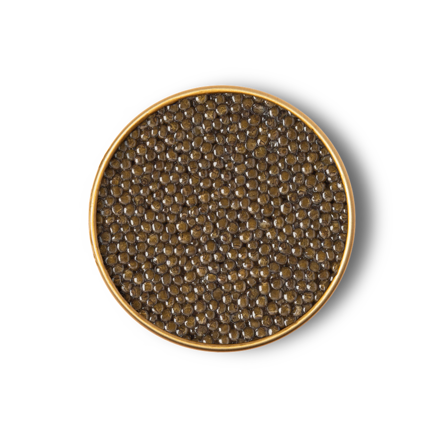 Royal Ossetra Caviar