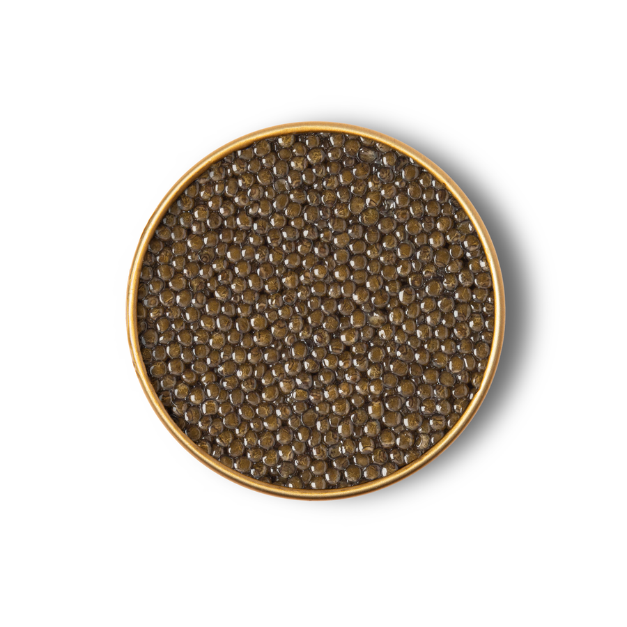 Royal Ossetra Caviar
