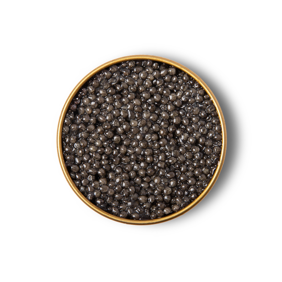Reserve Beluga PETRUSCO Caviar
