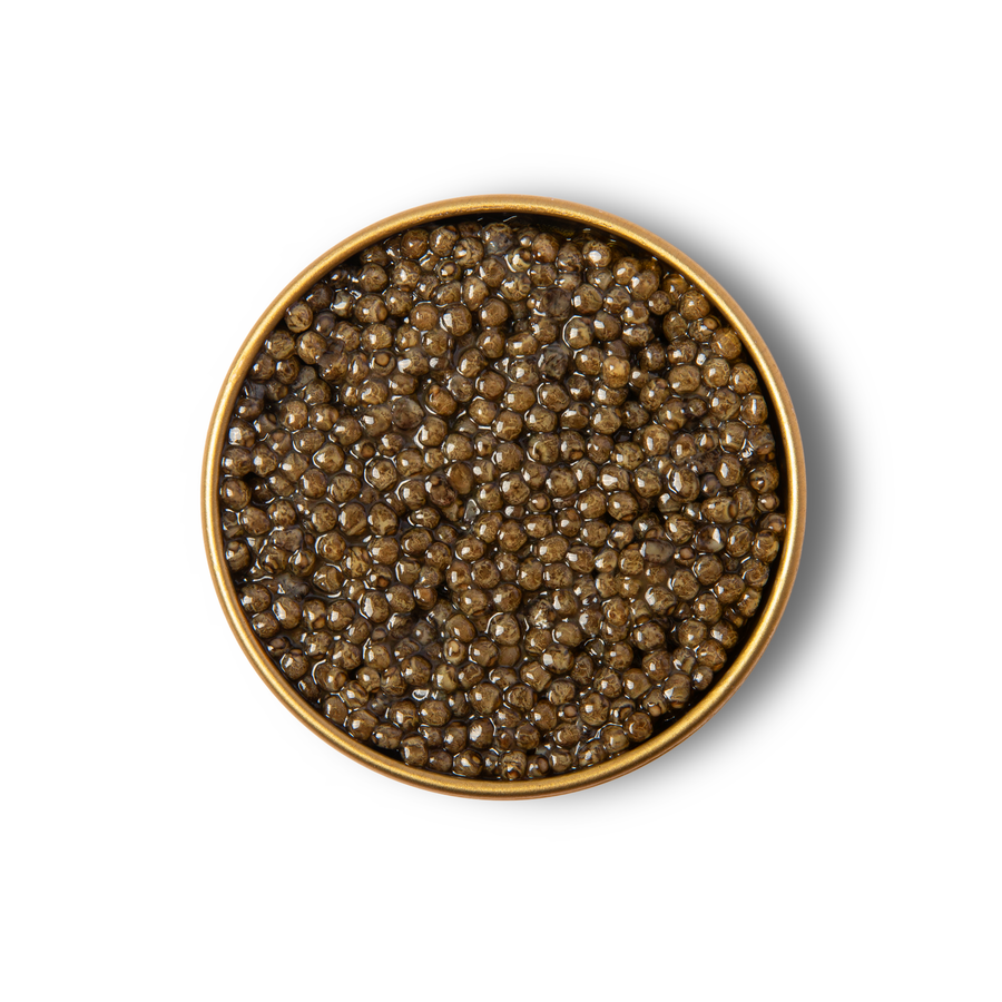 'BLACK FRIDAY' Kaluga Hybrid Reserve Caviar