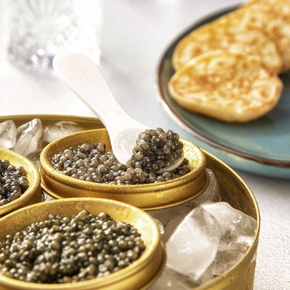 Buy Limited Edition Gold Ossetra Caviar Online | The Caviar House