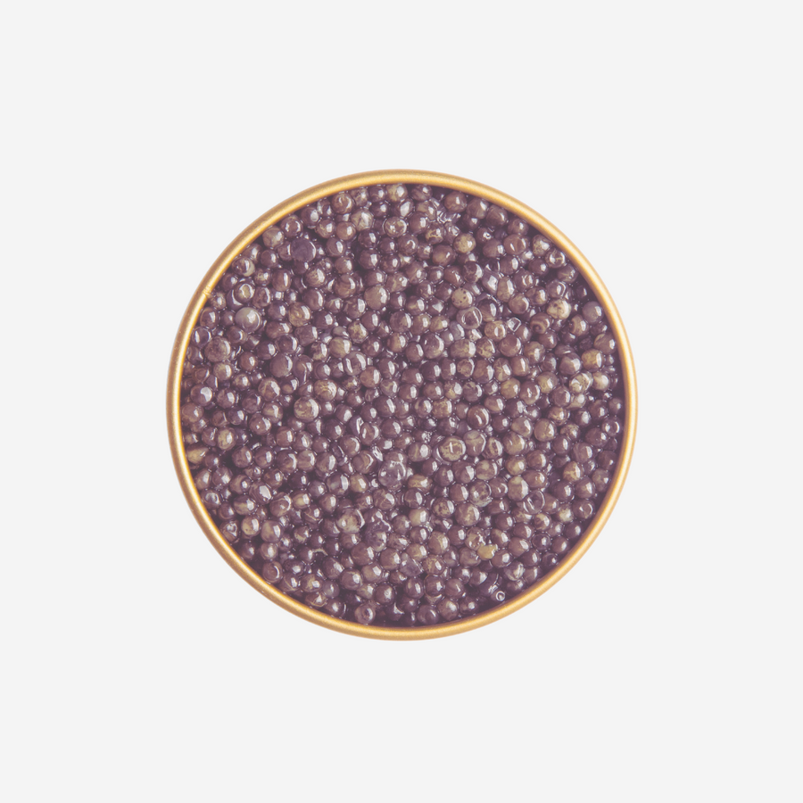 'Autumn Sale' Premium Siberian Baeri Caviar